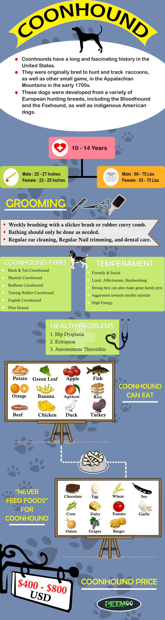 Coonhound Infographic