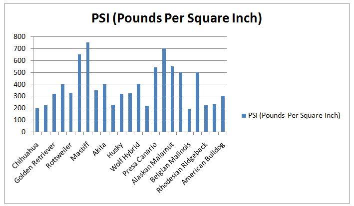 Dog Bite Force Chart