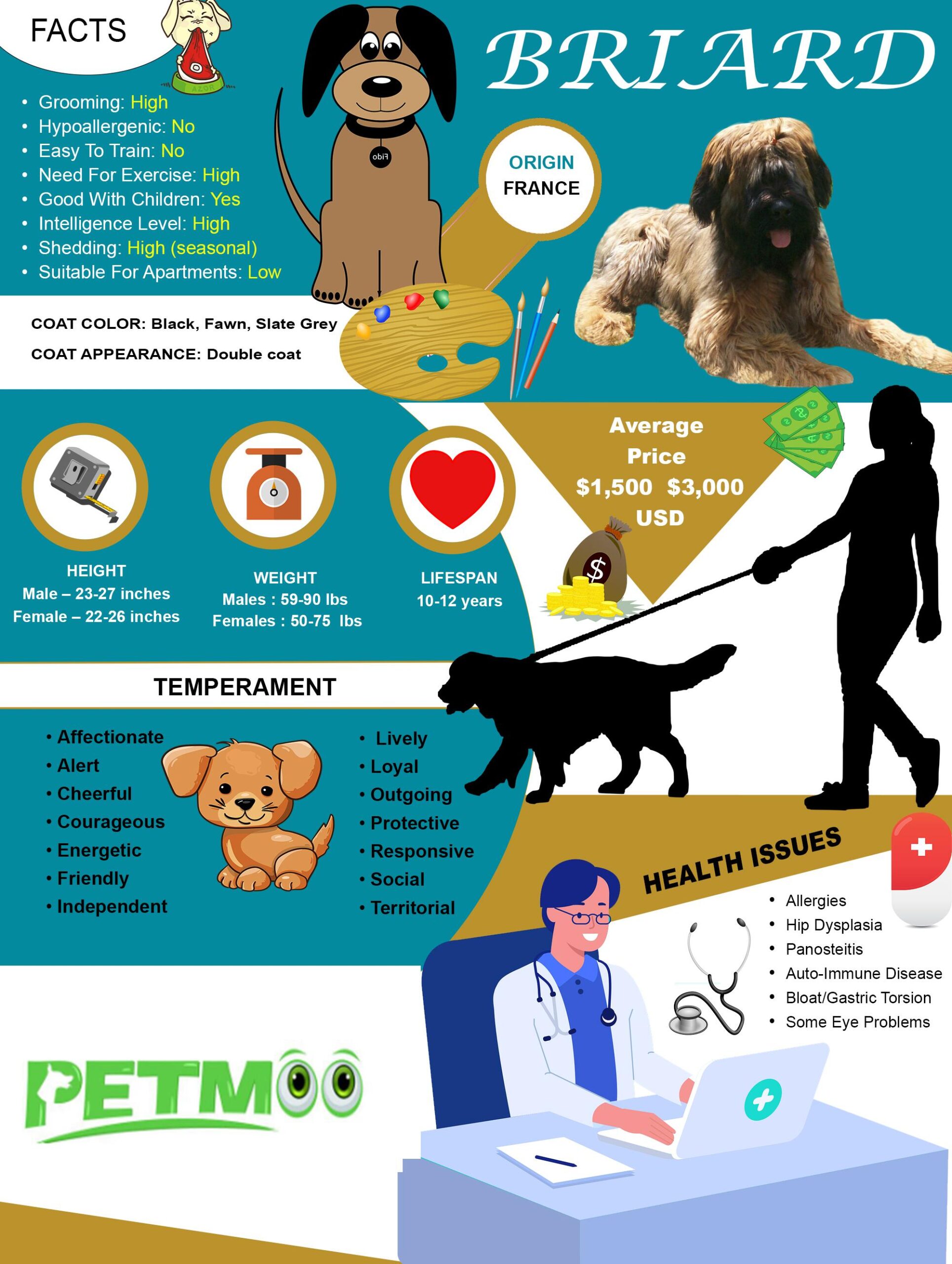 Briard Infographic