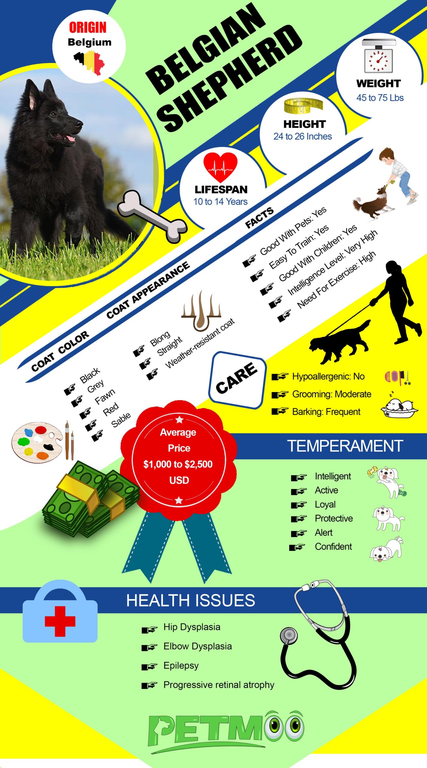 Belgian Shepherd Infographic