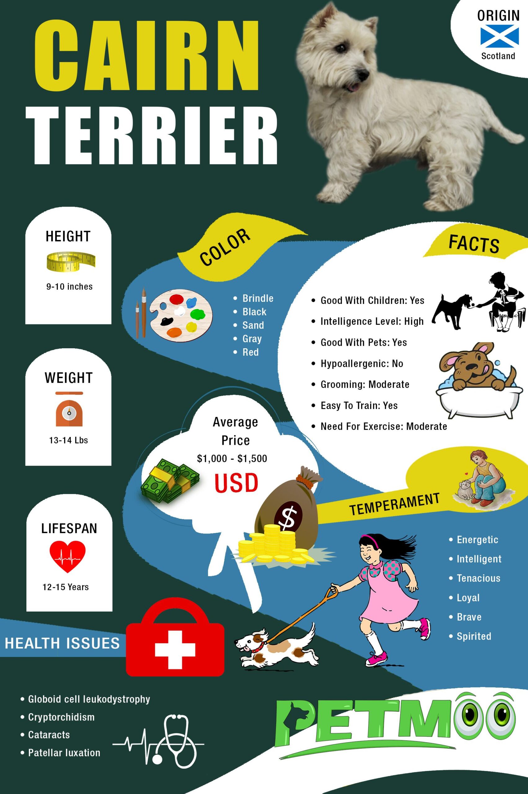 Cairn Terrier Infographic