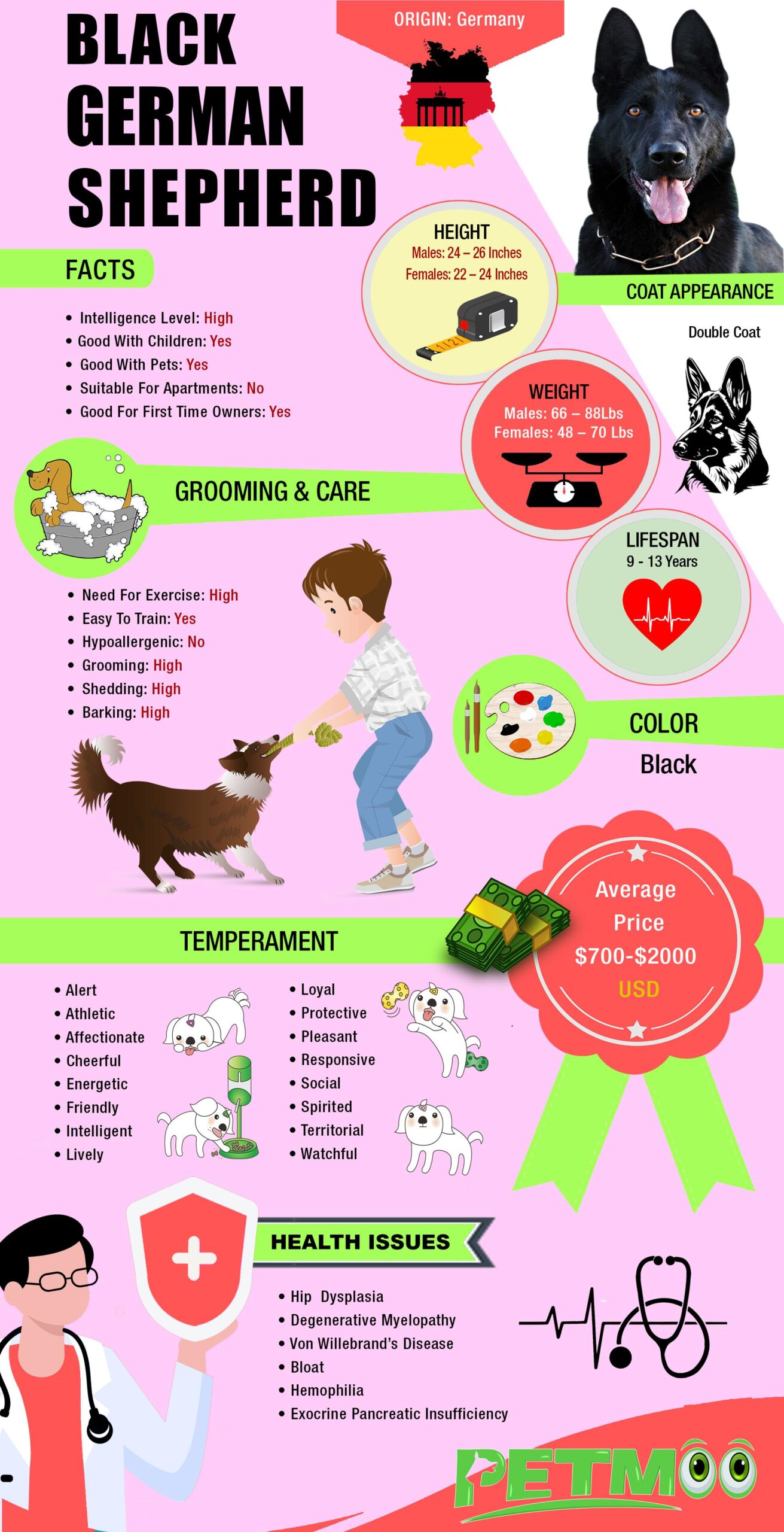 Black German Shepherd Infographic