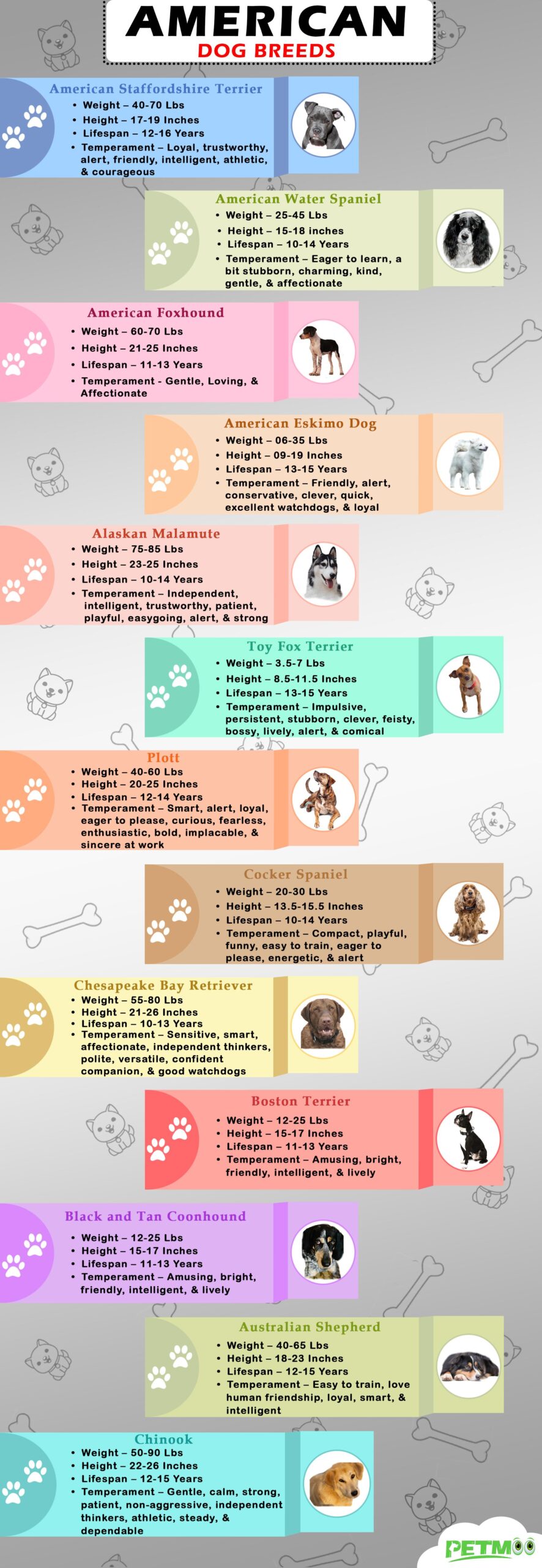 American Dog Breeds Infographic