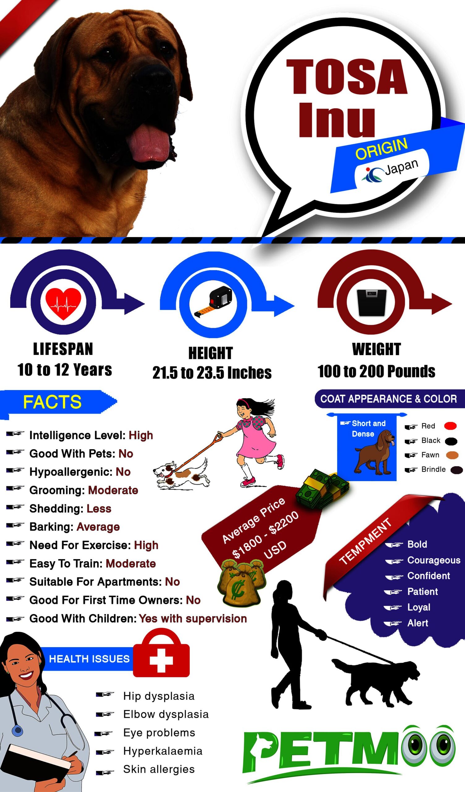 Tosa Inu Infographic