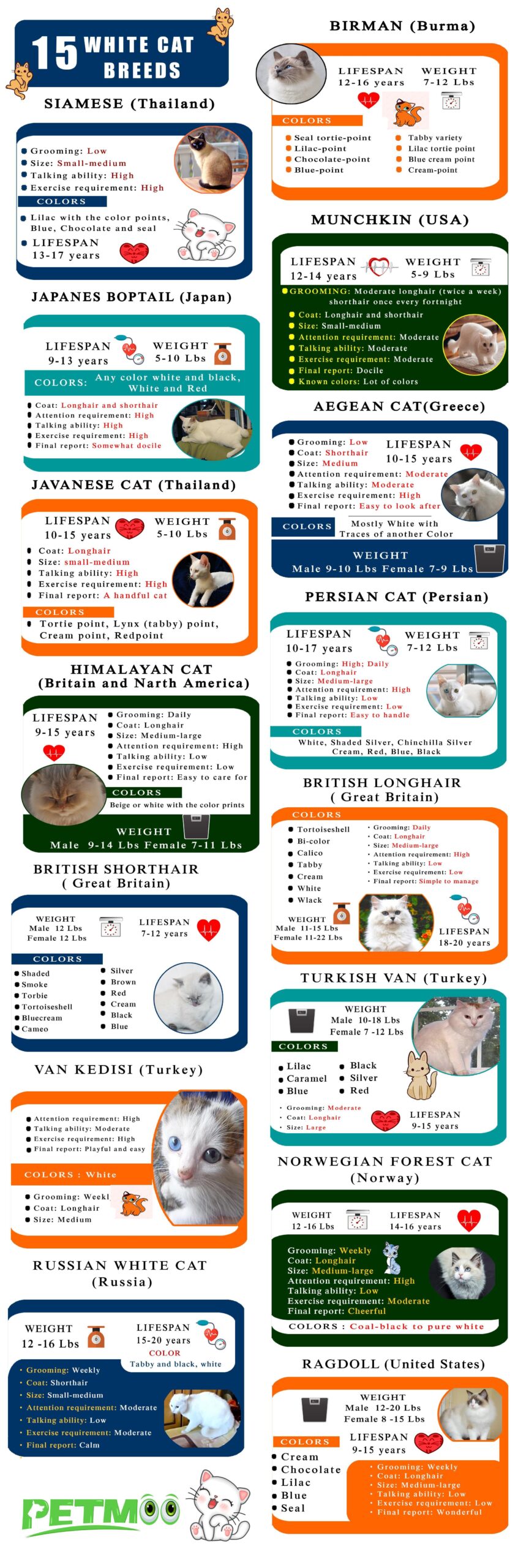 White Cat Breeds Infographic