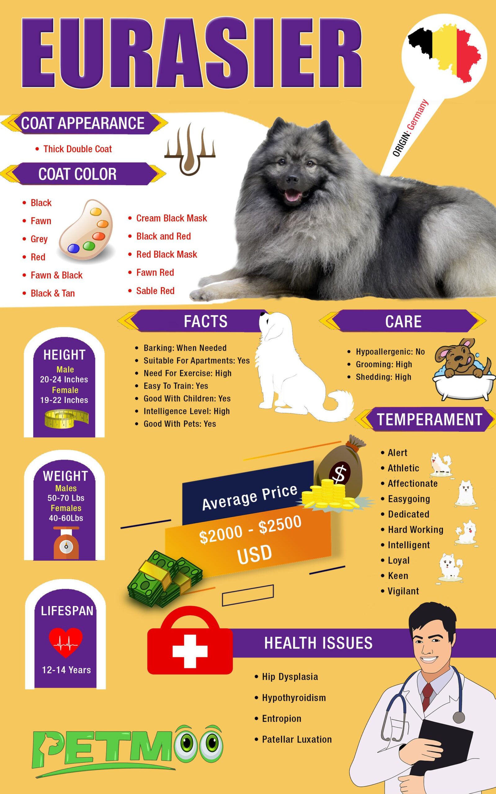 Eurasier Infographic