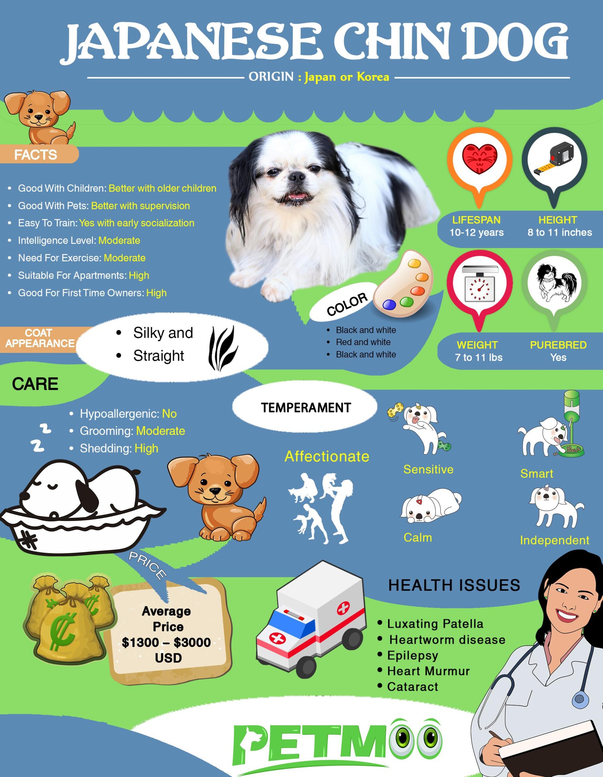 Japanese Chin Infographic