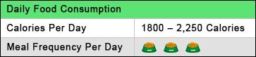 Bloodhound Daily Food Consumption Star Rating