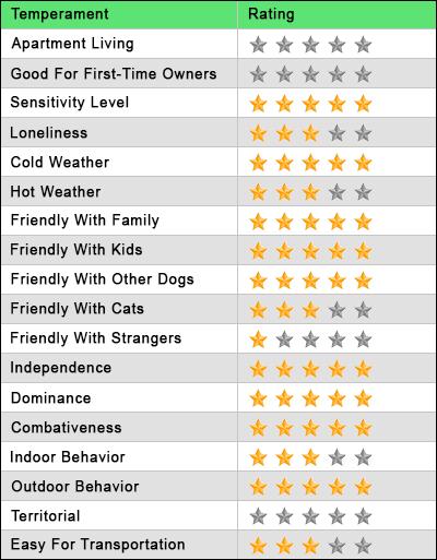 Bloodhound Temperament Star Rating