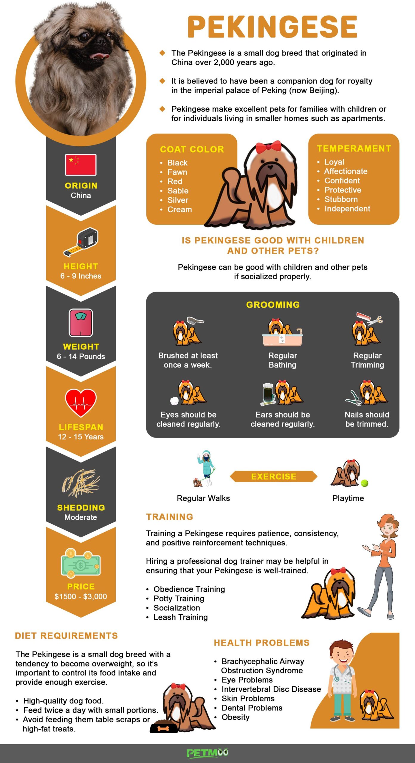 Pekingese Infographic