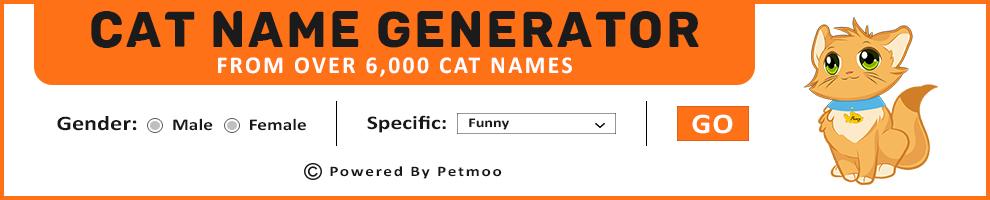 Cat Name Search Tool
