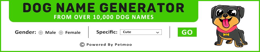 Dog Name Search Tool