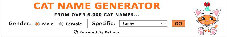 Warrior Cat Name Generator on Strikingly