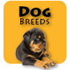 dog breeds