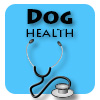dog health