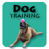 dog training