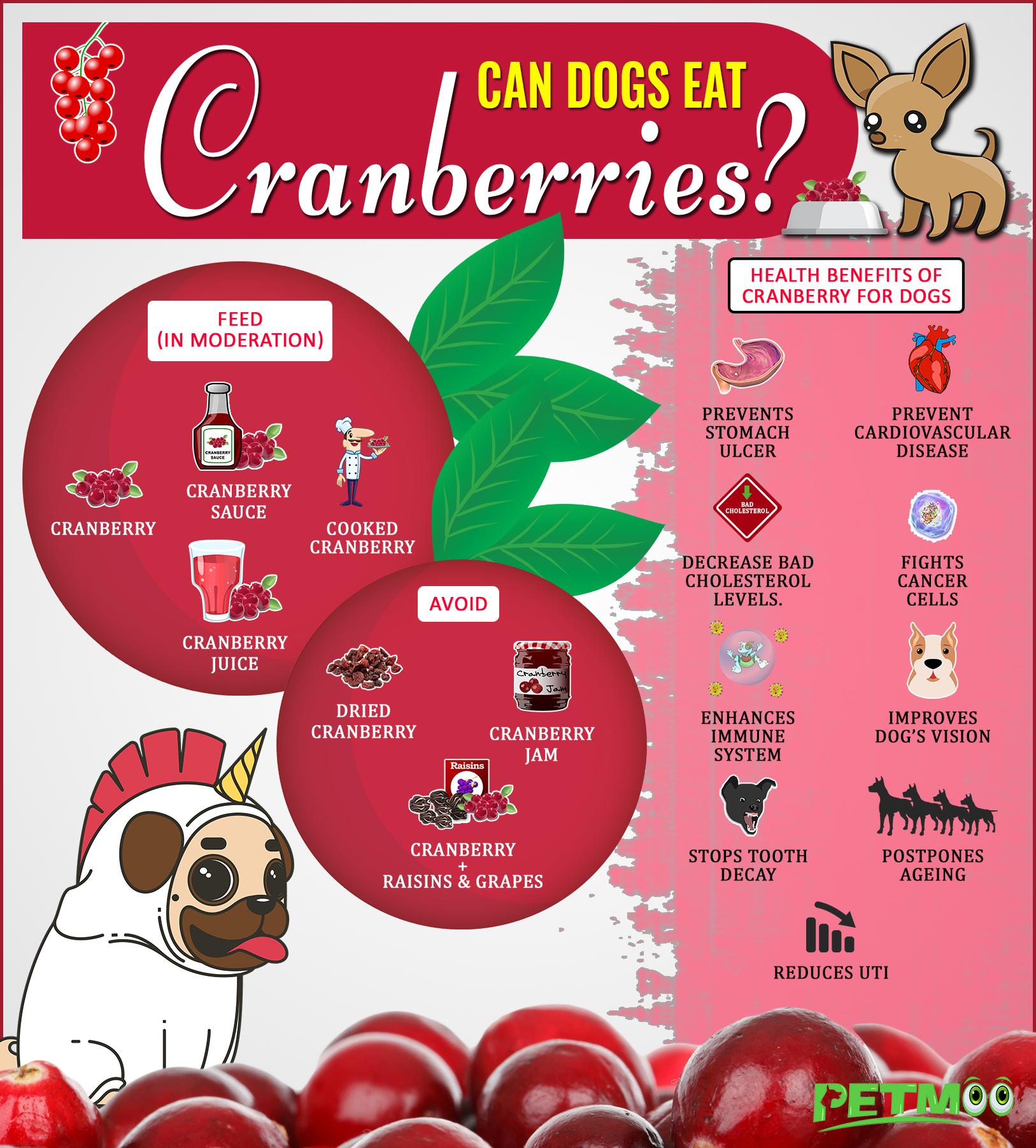 Are Cranberries Safe For Dogs Infographic