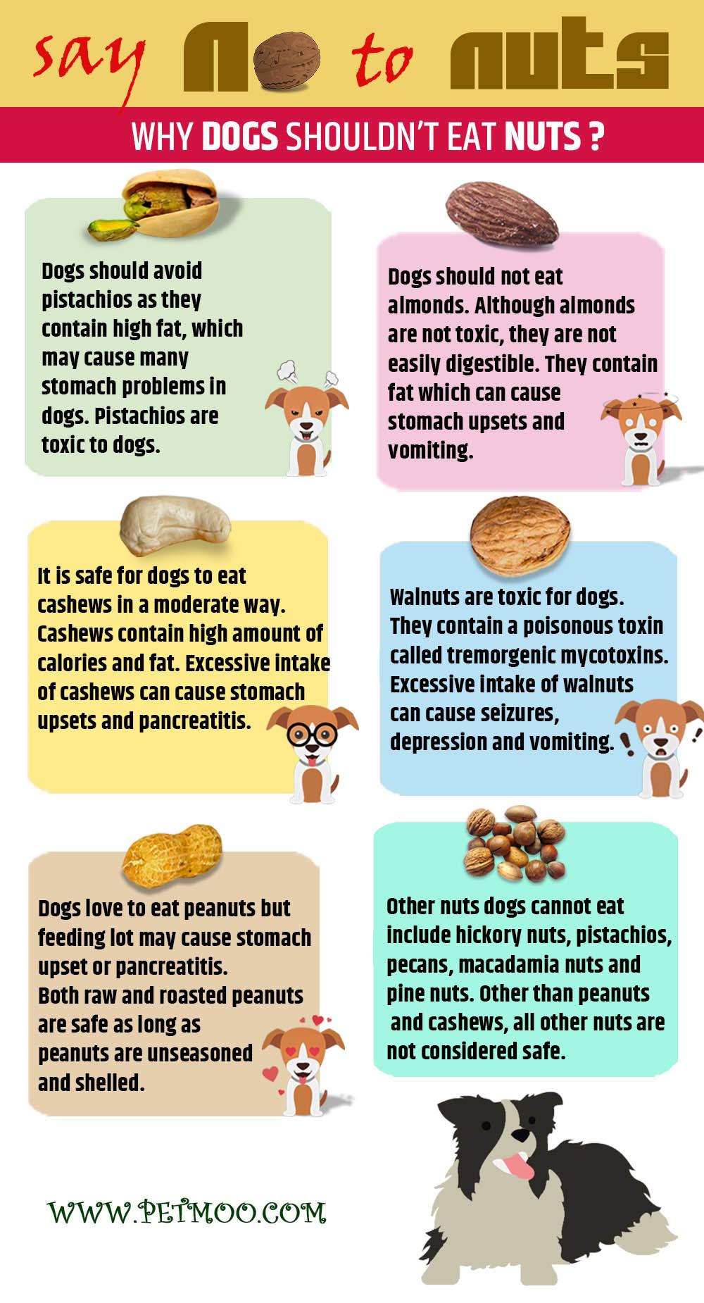 are almonds bad for dogs