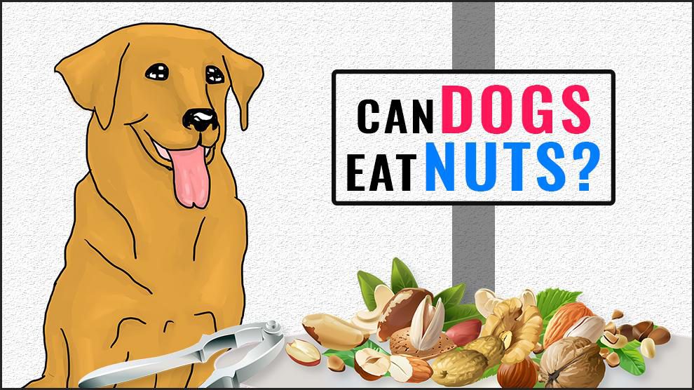 Can Dogs Eat Nuts