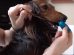 Dog Dental Care Tips