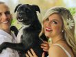 Family Dogs