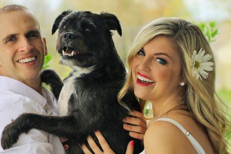 Family Dogs
