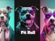 Pit Bull Dog Breed Info