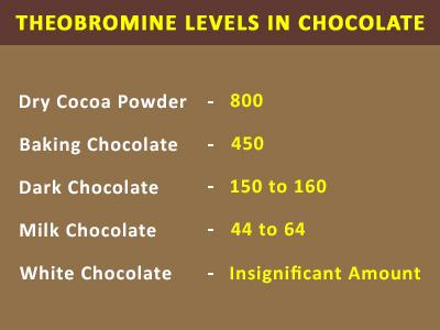 Theobromine Levels in Chocolate