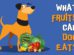 What Fruits Can Dogs Eat