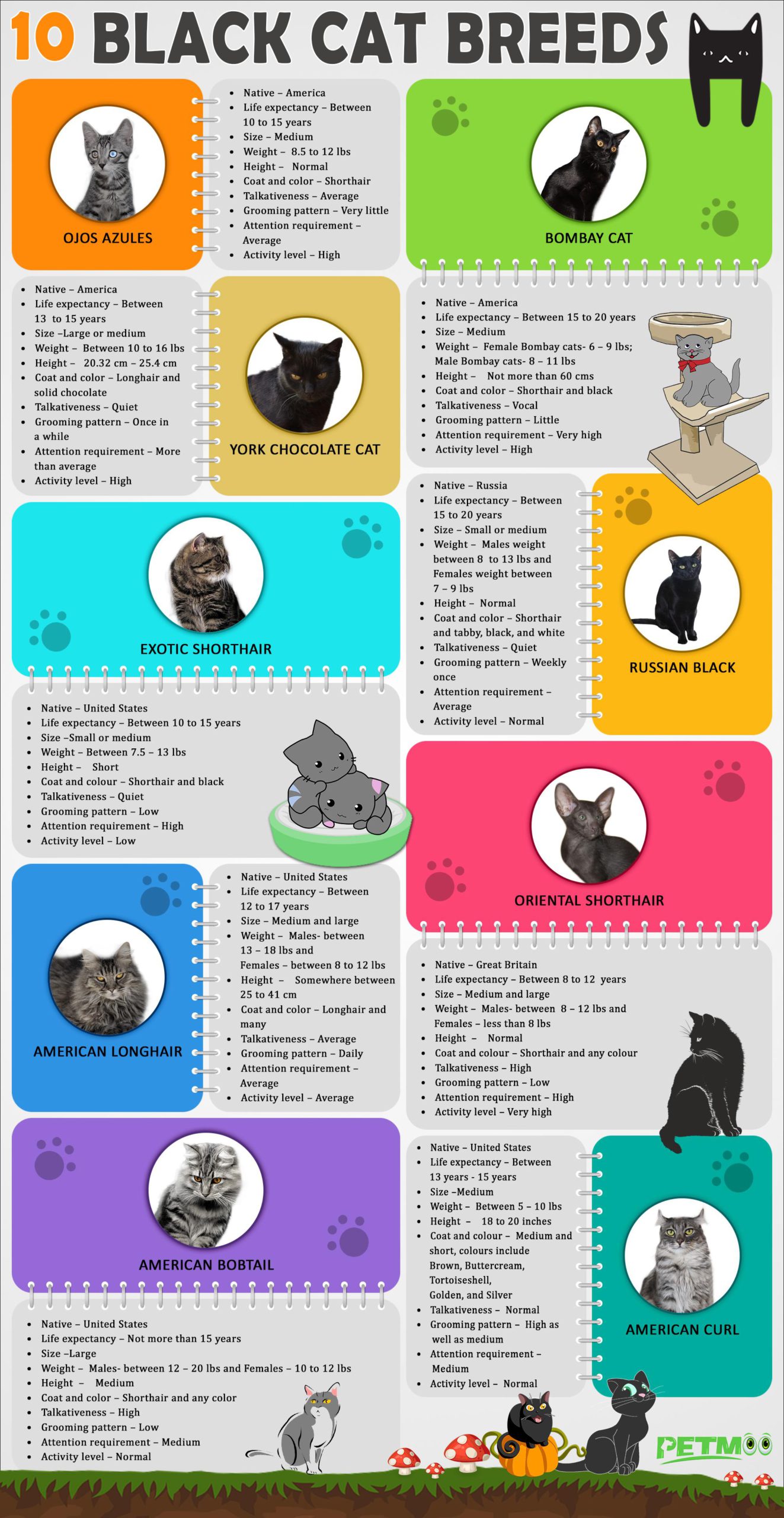 Black Cat Breeds Infographic