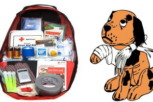 First Aid Kit For Pets