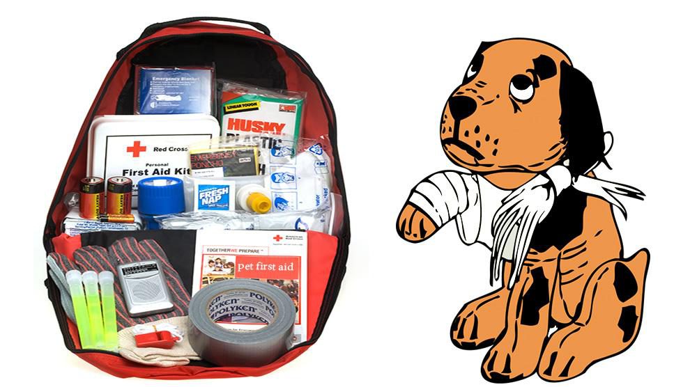 First Aid Kit For Pets - Emergency Resources For A Pet Owner - Petmoo