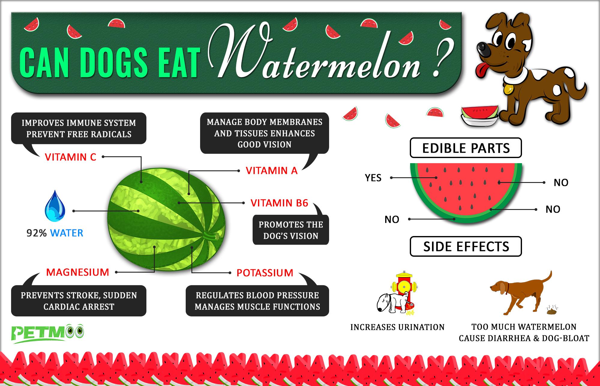 is watermelon good for puppies