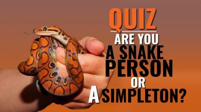 Snake Pets