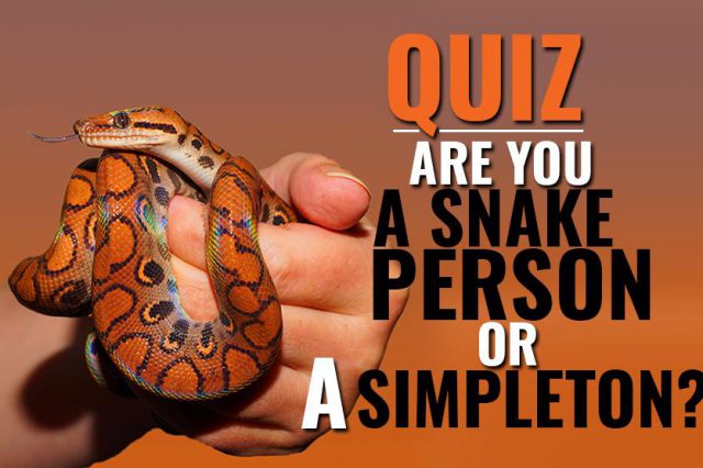 Snake Pets