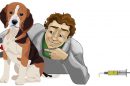 Vaccination In Pets