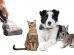Best Vacuums For Pet Hair