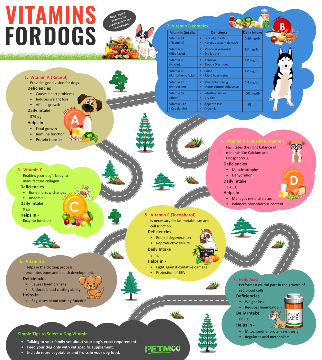 7 Best Vitamins For Dogs To A Healthy Life Petmoo