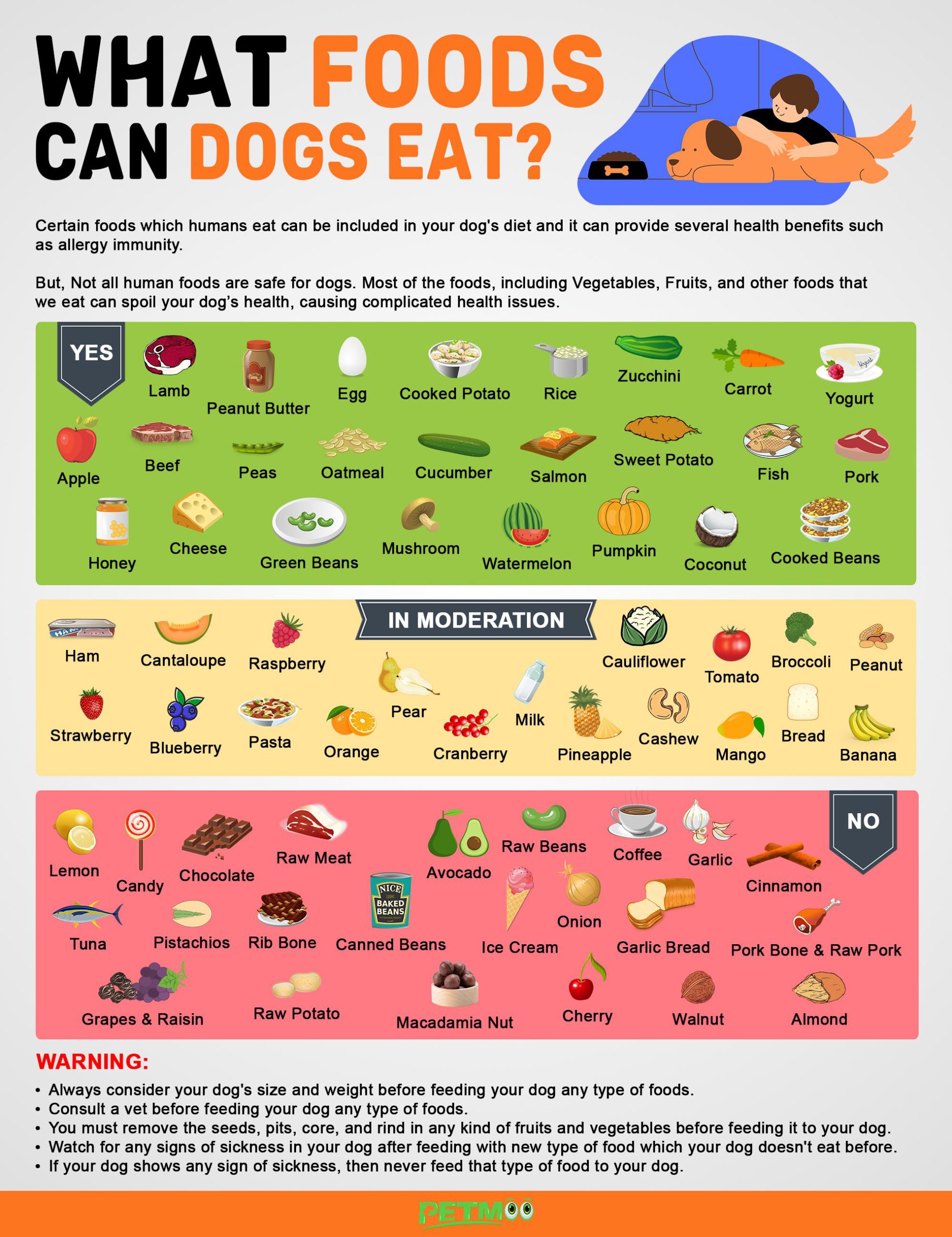 What Foods Can Dogs Eat Infographics