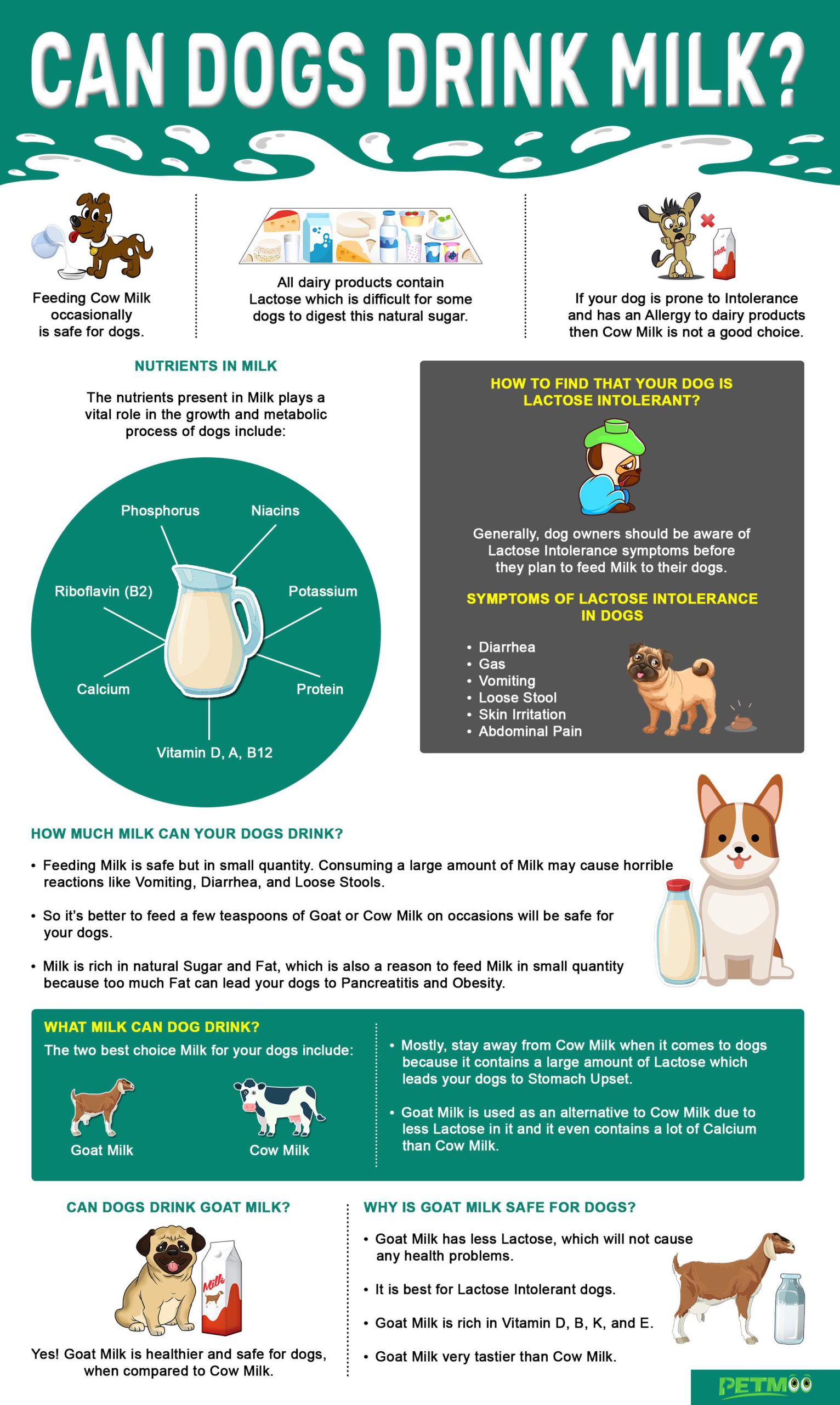 Can Dogs Drink Milk Infographics