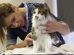 Cat Grooming