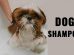 Dog Shampoo