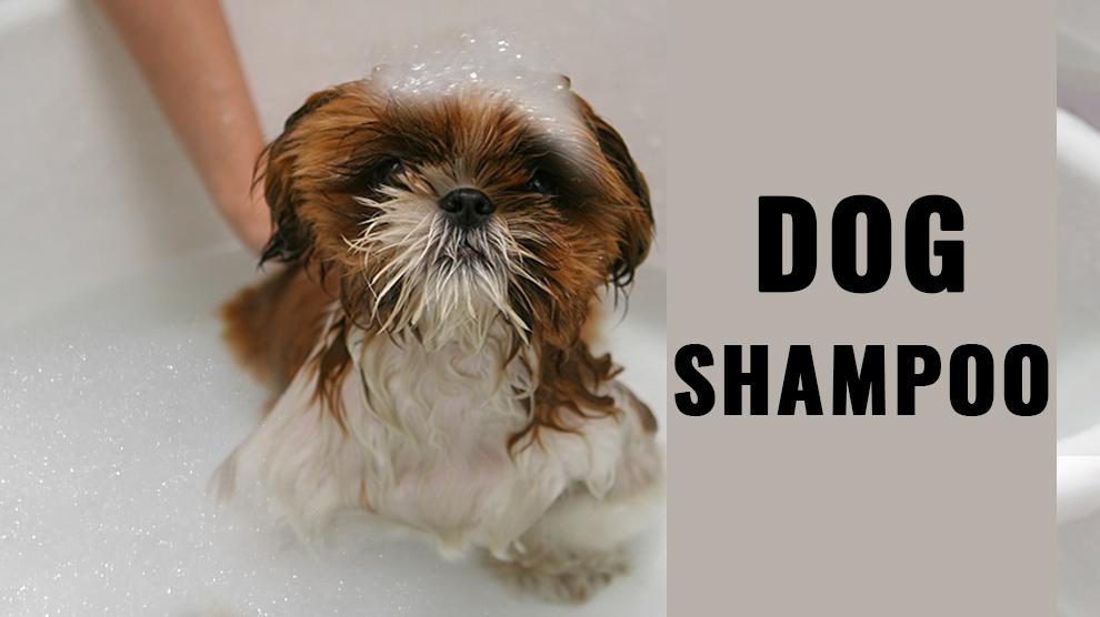 Dog Shampoo