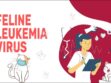 Feline Leukemia Virus