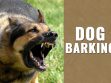 Dog Barking