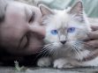 Basic cat care