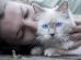 Basic cat care