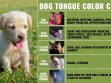 Dog Tongue