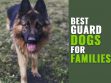 Guard Dogs