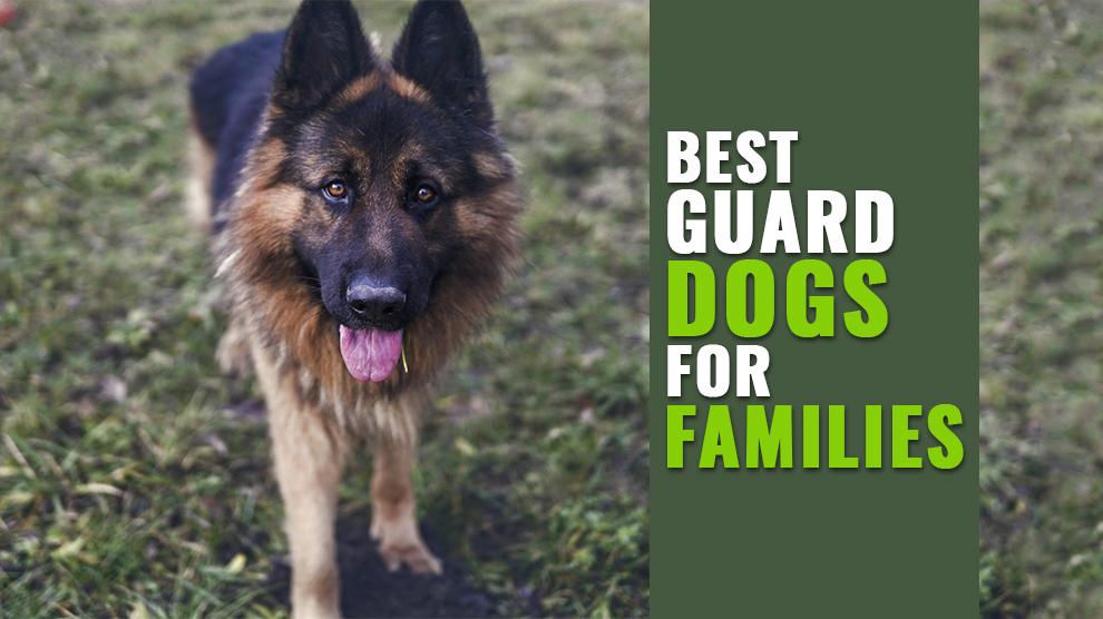 a good guard dog good with family
